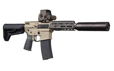 Q SGR WSL SBR 300BK 7" 30RD FDE