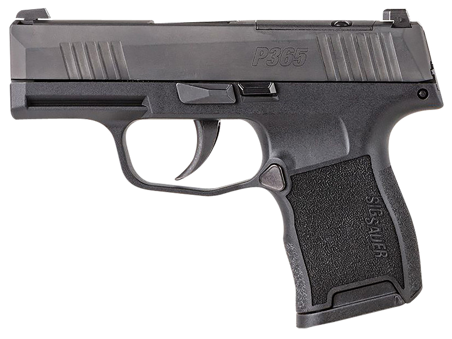 SIG P365 380ACP 3.1 BLK (2) 10RD MS MA COMP