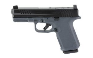 RUGER RXM 9MM 10RD NS GRY W/MGPL EHG